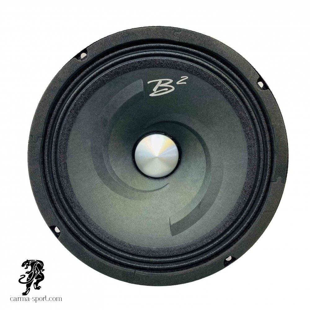 میدرنج 8 اینچ b2 مدل P1843 میدرنج 8 اینچ b2 مدل P1843